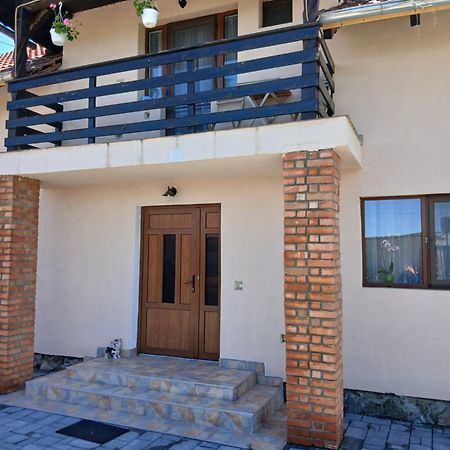 Casa Loredana Cartisoara Exterior photo