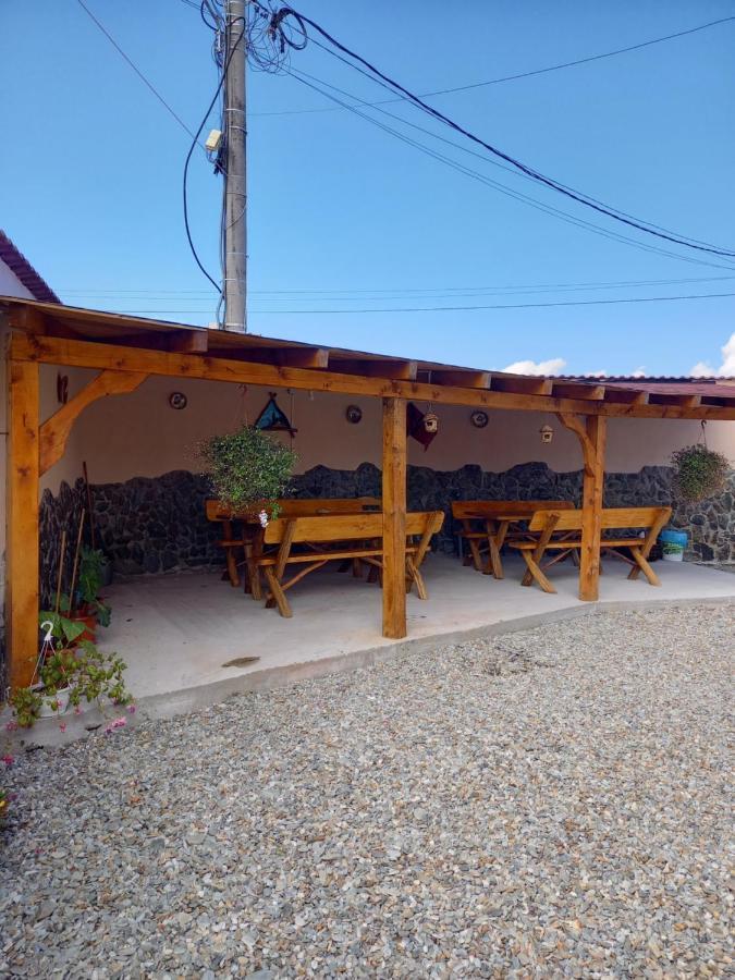 Casa Loredana Cartisoara Exterior photo