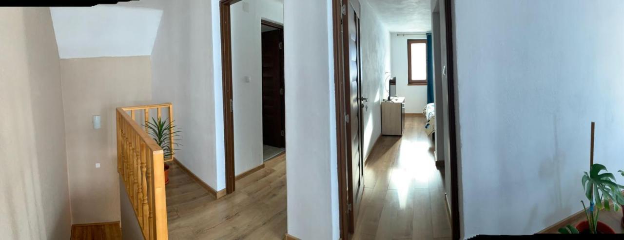 Casa Loredana Cartisoara Exterior photo